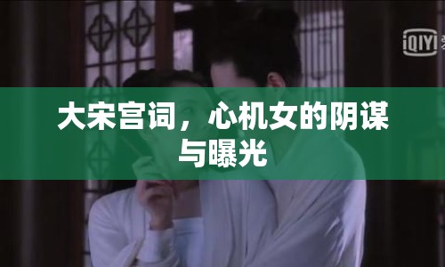 大宋宮詞，心機女的陰謀與曝光
