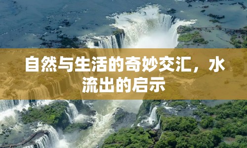自然與生活的奇妙交匯，水流出的啟示