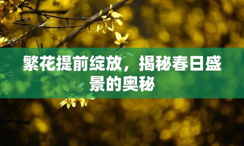 繁花提前綻放，揭秘春日盛景的奧秘
