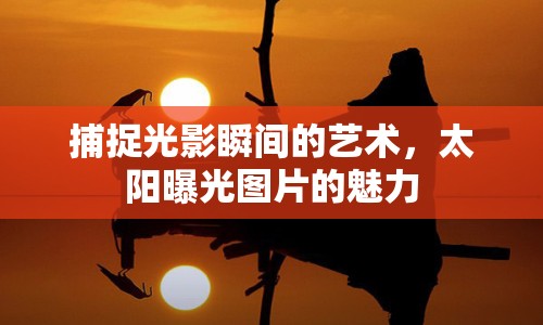 捕捉光影瞬間的藝術，太陽曝光圖片的魅力