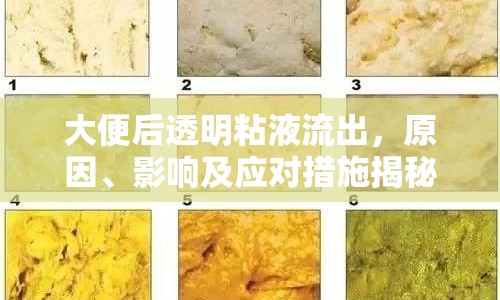 大便后透明粘液流出，原因、影響及應(yīng)對措施揭秘