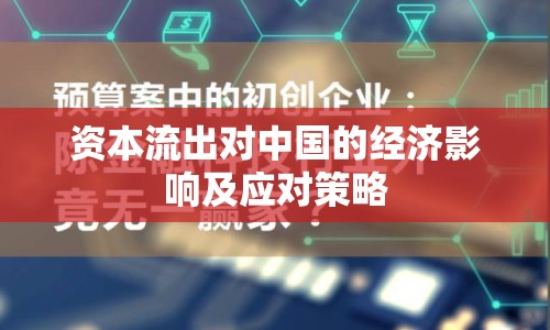資本流出對中國的經(jīng)濟影響及應(yīng)對策略