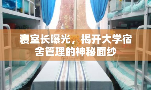 寢室長(zhǎng)曝光，揭開大學(xué)宿舍管理的神秘面紗