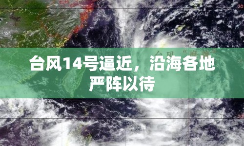 臺風(fēng)14號逼近，沿海各地嚴(yán)陣以待