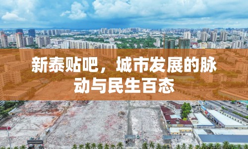 新泰貼吧，城市發(fā)展的脈動(dòng)與民生百態(tài)