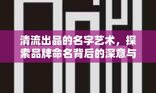 清流出品的名字藝術(shù)，探索品牌命名背后的深意與魅力