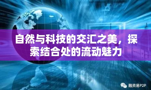 自然與科技的交匯之美，探索結(jié)合處的流動(dòng)魅力