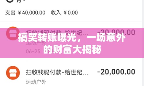 搞笑轉賬曝光，一場意外的財富大揭秘