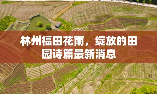 林州福田花雨，綻放的田園詩篇最新消息