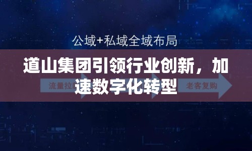 道山集團(tuán)引領(lǐng)行業(yè)創(chuàng)新，加速數(shù)字化轉(zhuǎn)型