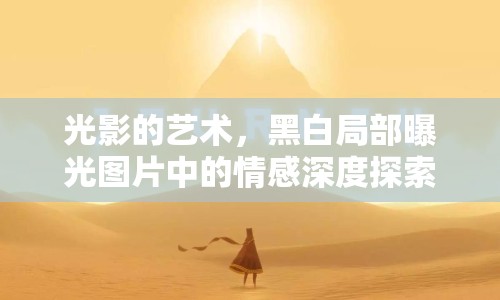 光影的藝術，黑白局部曝光圖片中的情感深度探索