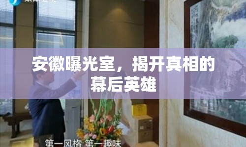 安徽曝光室，揭開真相的幕后英雄