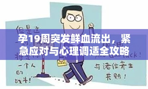孕19周突發(fā)鮮血流出，緊急應(yīng)對與心理調(diào)適全攻略