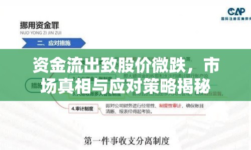 資金流出致股價(jià)微跌，市場真相與應(yīng)對策略揭秘