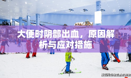 大便時(shí)陰部出血，原因解析與應(yīng)對(duì)措施