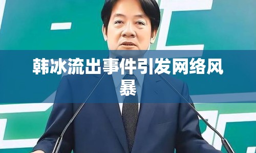 韓冰流出事件引發(fā)網絡風暴