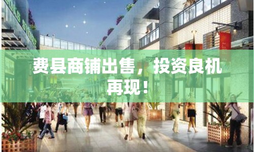 費(fèi)縣商鋪出售，投資良機(jī)再現(xiàn)！