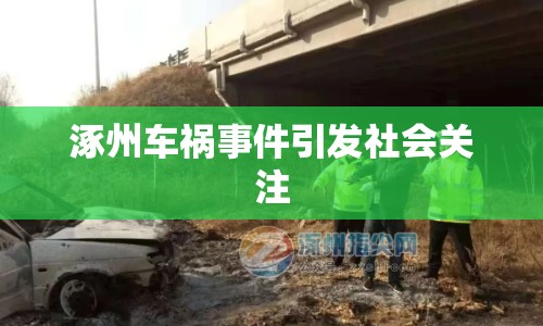涿州車禍事件引發(fā)社會關注
