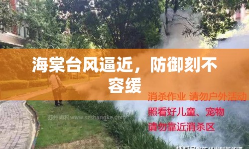 海棠臺風(fēng)逼近，防御刻不容緩