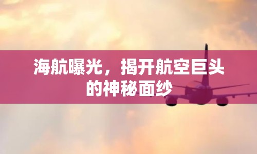 海航曝光，揭開航空巨頭的神秘面紗