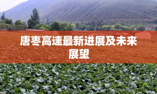 唐棗高速最新進展及未來展望