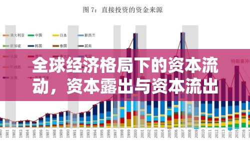 全球經(jīng)濟格局下的資本流動，資本露出與資本流出