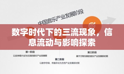 數(shù)字時(shí)代下的三流現(xiàn)象，信息流動(dòng)與影響探索