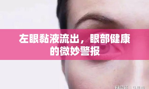 左眼黏液流出，眼部健康的微妙警報(bào)