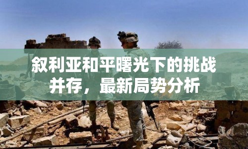 敘利亞和平曙光下的挑戰(zhàn)并存，最新局勢(shì)分析
