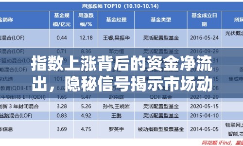 指數上漲背后的資金凈流出，隱秘信號揭示市場動態(tài)