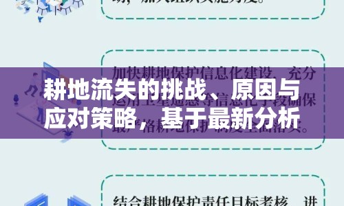 耕地流失的挑戰(zhàn)、原因與應(yīng)對策略，基于最新分析報告的深度剖析