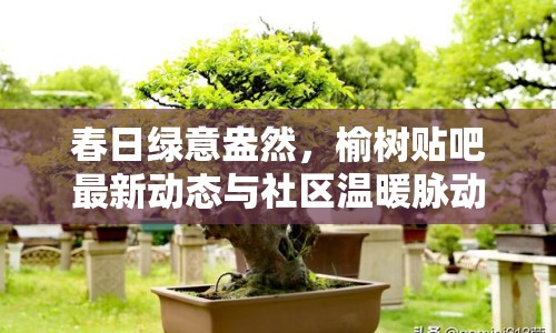 春日綠意盎然，榆樹貼吧最新動態(tài)與社區(qū)溫暖脈動