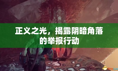 正義之光，揭露陰暗角落的舉報行動