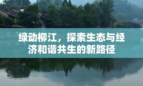 綠動(dòng)柳江，探索生態(tài)與經(jīng)濟(jì)和諧共生的新路徑