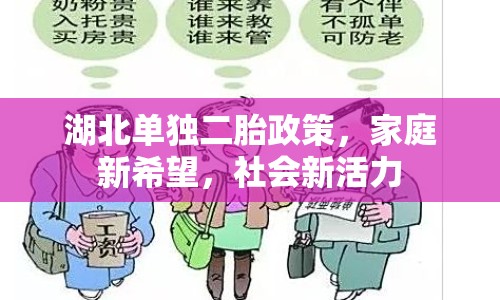 湖北單獨(dú)二胎政策，家庭新希望，社會新活力