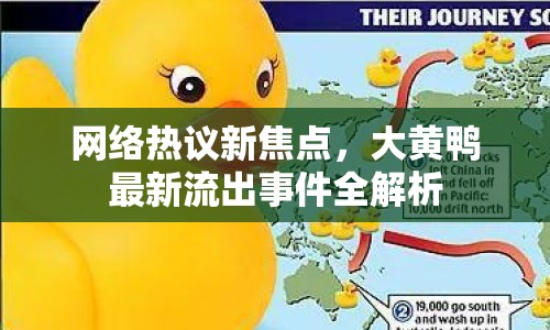 網(wǎng)絡(luò)熱議新焦點(diǎn)，大黃鴨最新流出事件全解析