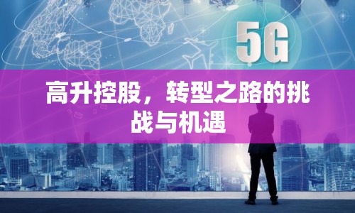高升控股，轉(zhuǎn)型之路的挑戰(zhàn)與機遇