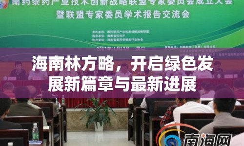 海南林方略，開啟綠色發(fā)展新篇章與最新進(jìn)展