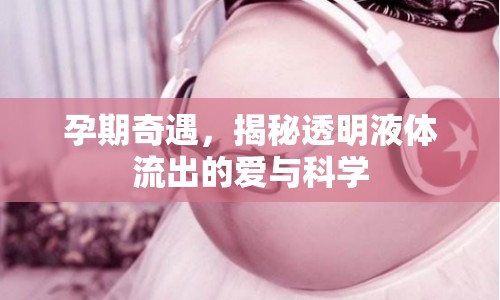 孕期奇遇，揭秘透明液體流出的愛與科學(xué)