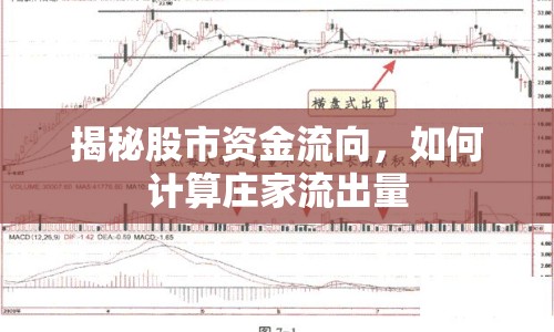 揭秘股市資金流向，如何計算莊家流出量