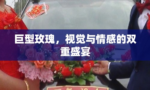 巨型玫瑰，視覺與情感的雙重盛宴