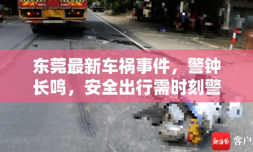 東莞最新車禍事件，警鐘長鳴，安全出行需時刻警醒