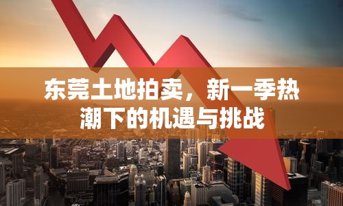 東莞土地拍賣，新一季熱潮下的機遇與挑戰(zhàn)