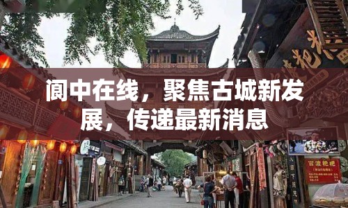 閬中在線，聚焦古城新發(fā)展，傳遞最新消息
