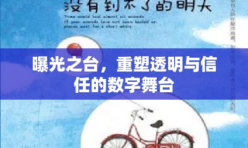 曝光之臺(tái)，重塑透明與信任的數(shù)字舞臺(tái)