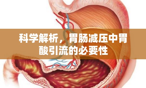 科學解析，胃腸減壓中胃酸引流的必要性