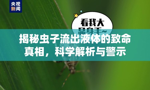 揭秘蟲子流出液體的致命真相，科學(xué)解析與警示