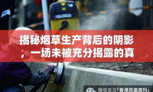 揭秘?zé)煵萆a(chǎn)背后的陰影，一場未被充分揭露的真相