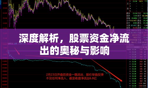 深度解析，股票資金凈流出的奧秘與影響