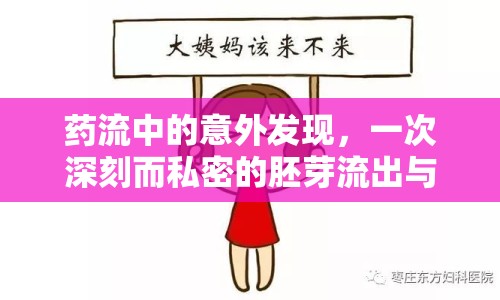 藥流中的意外發(fā)現(xiàn)，一次深刻而私密的胚芽流出與生命抉擇